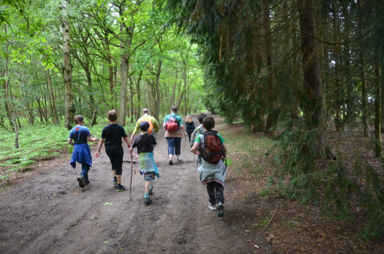 group of children and adults on a walk in the woods