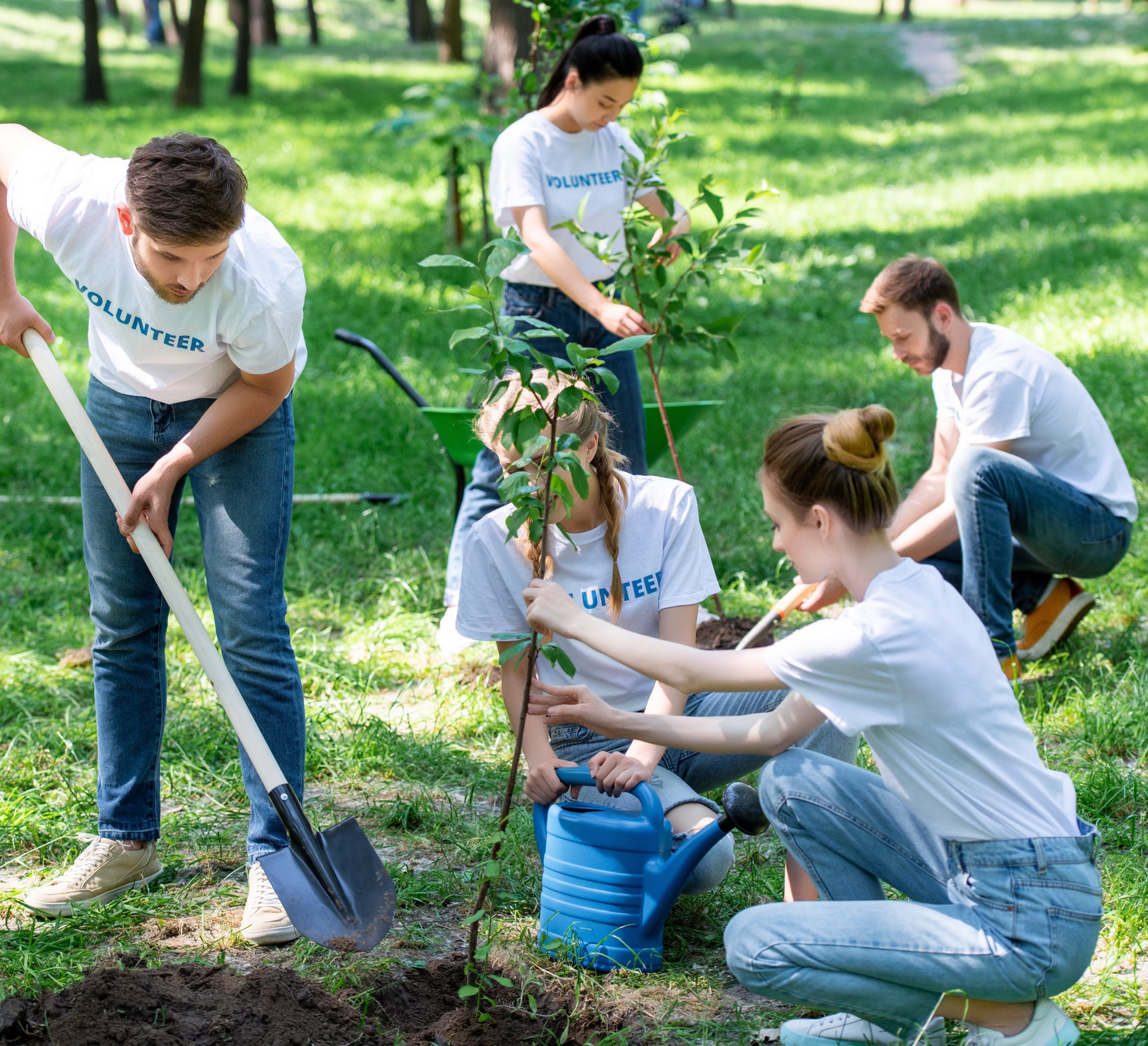 Weekly working party at Wimbledon District Woodcraft Folk Park Farm ...