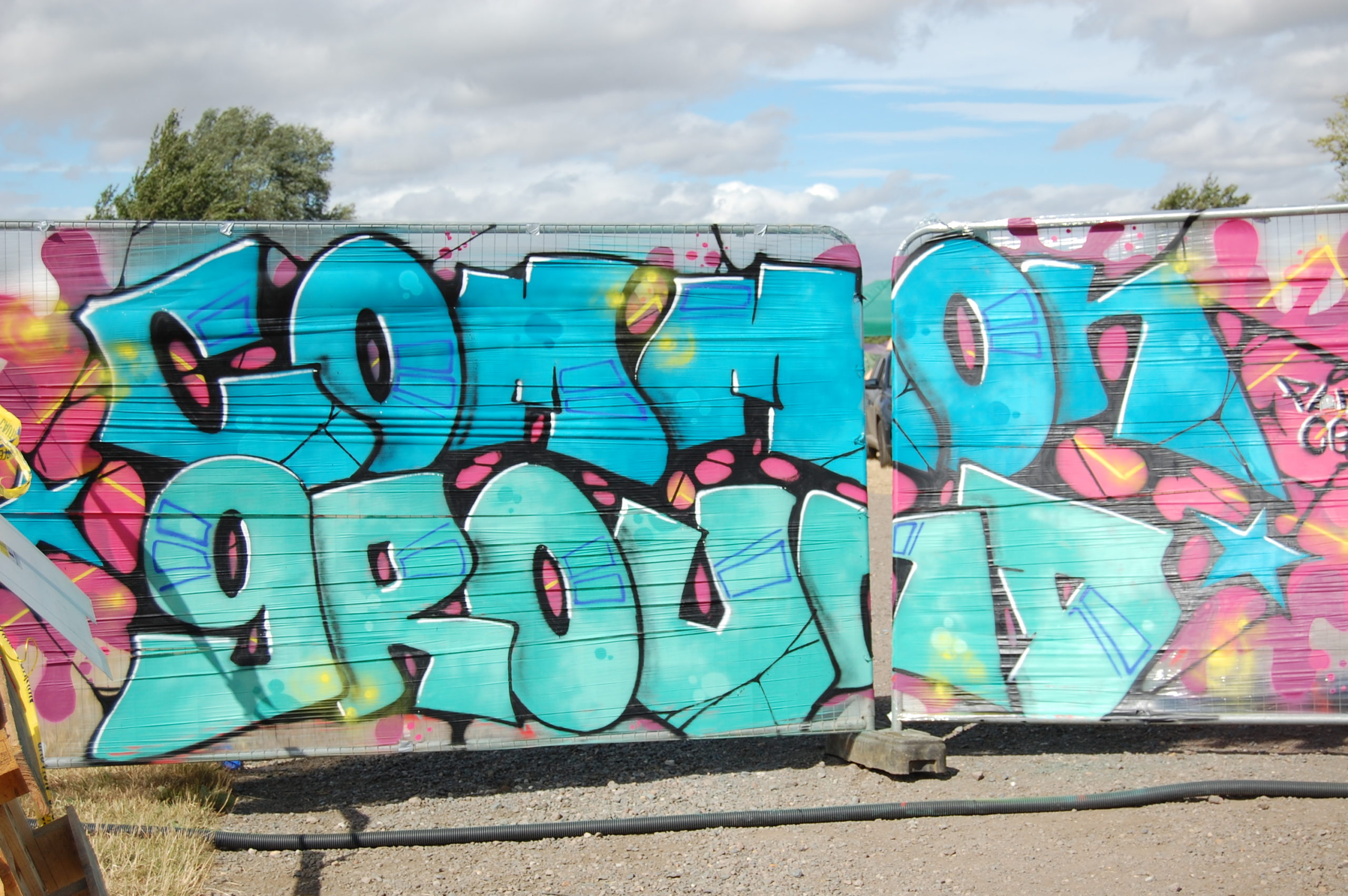 Common Ground international camp, a huge success! Woodcraft Folk