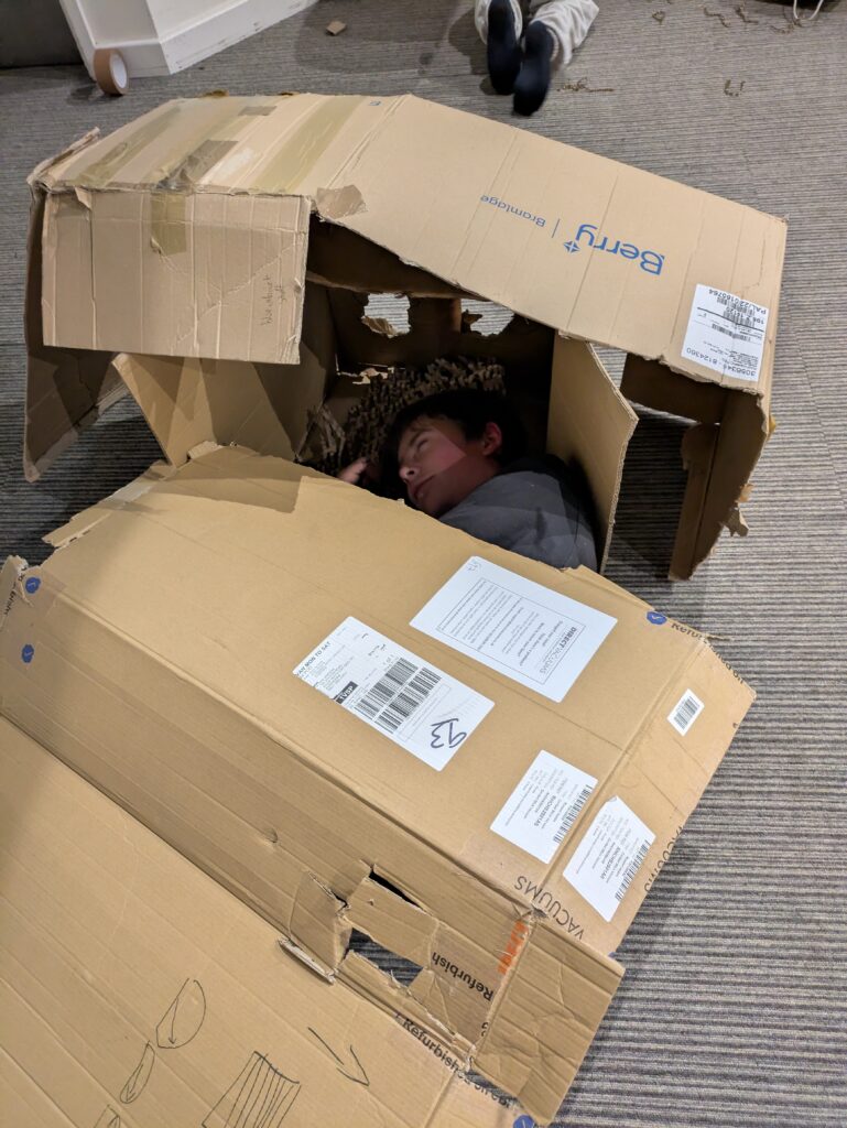 YP in a cardboard bed