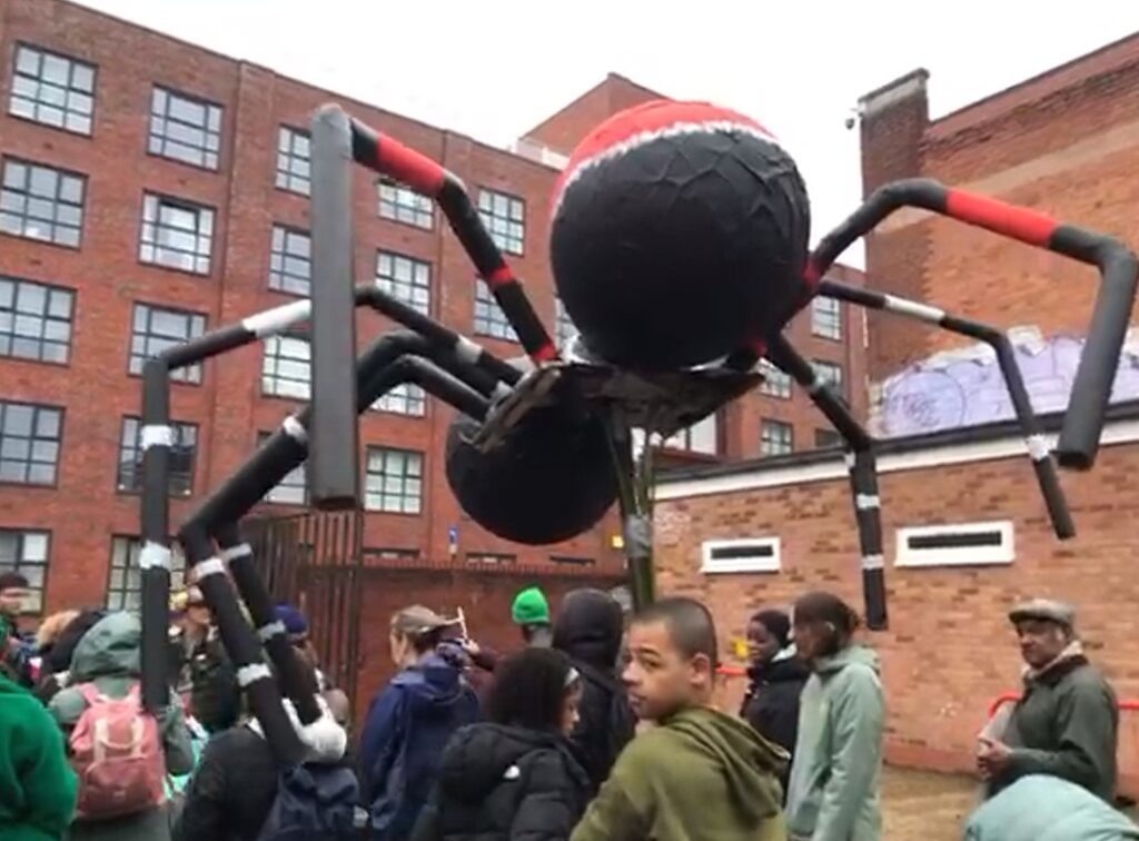 Giant Ladybird Spider Leads the carnival