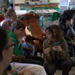 Learning about photography and archives at Cuham