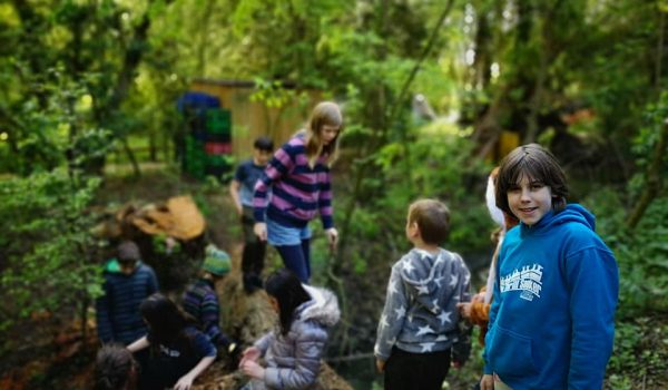 59301737_446850222730860_5626194629893292032_n